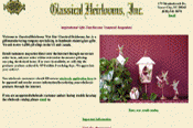 E-commerce Examples